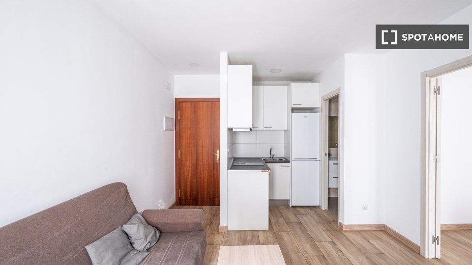 Apartment Madrid, 1 bed — photo 3