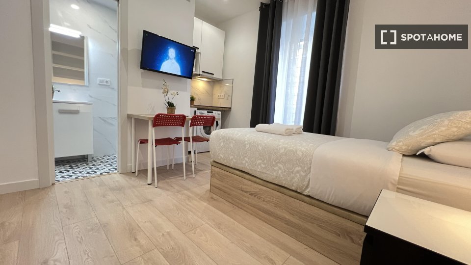 Apartment mono Madrid, 21m² — photo 39