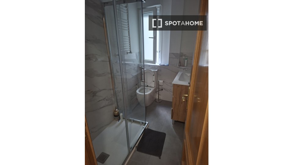 Double room Madrid, 1 bed, 100m² — photo 10
