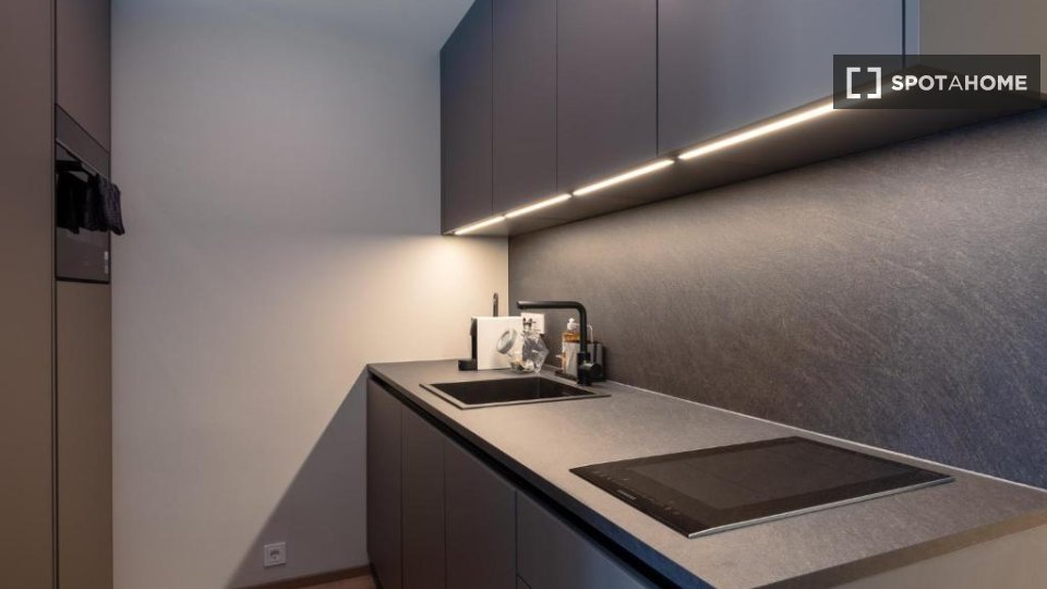 Apartment Vienna, 1 bed — photo 13