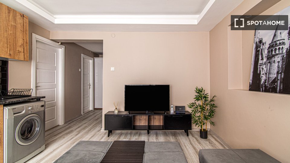 Apartment Istanbul, 1 bed — photo 10