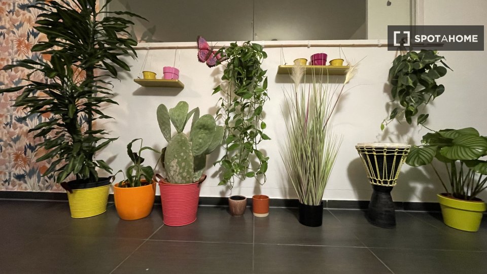 Apartment Brussels, 2 beds, 90m² — photo 4