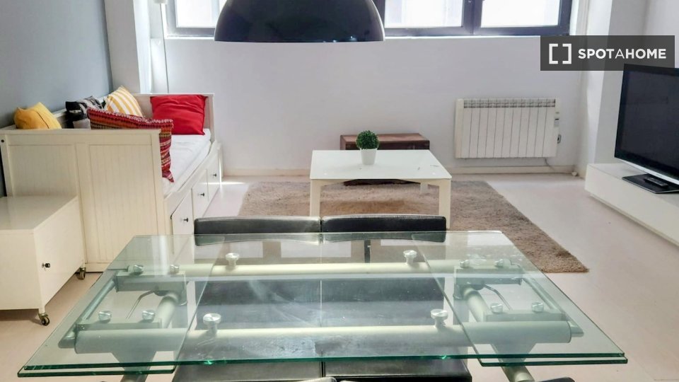 Apartment mono San_Sebastian, 52m² — photo 2