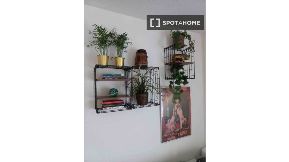 Double room Madrid, 2 beds — photo 7