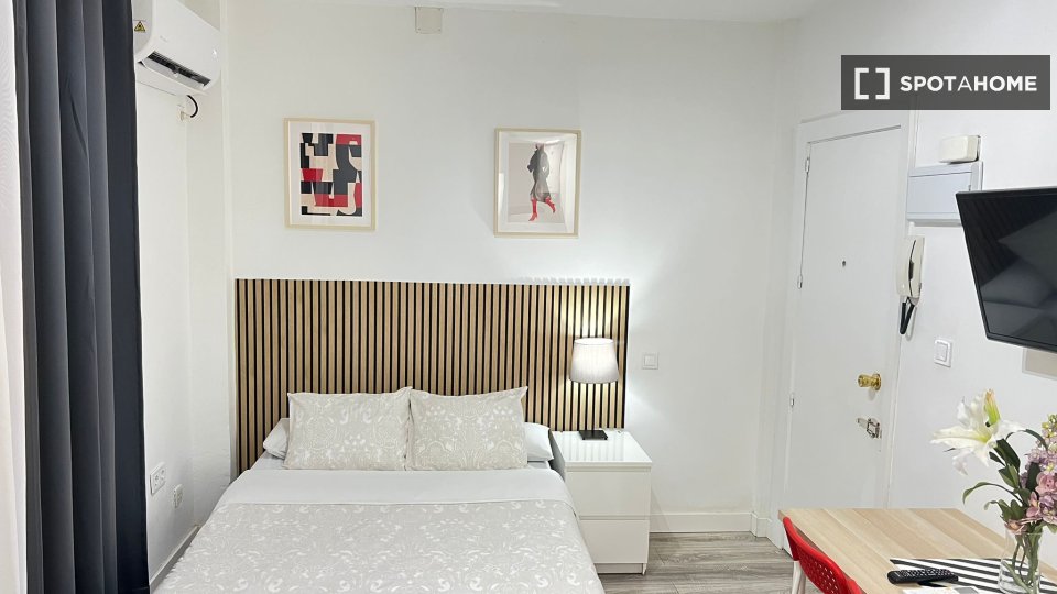 Apartment mono Madrid — photo 26