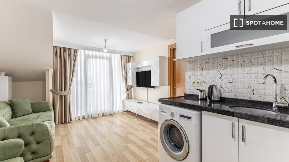 Apartment Istanbul, 1 bed — photo 12
