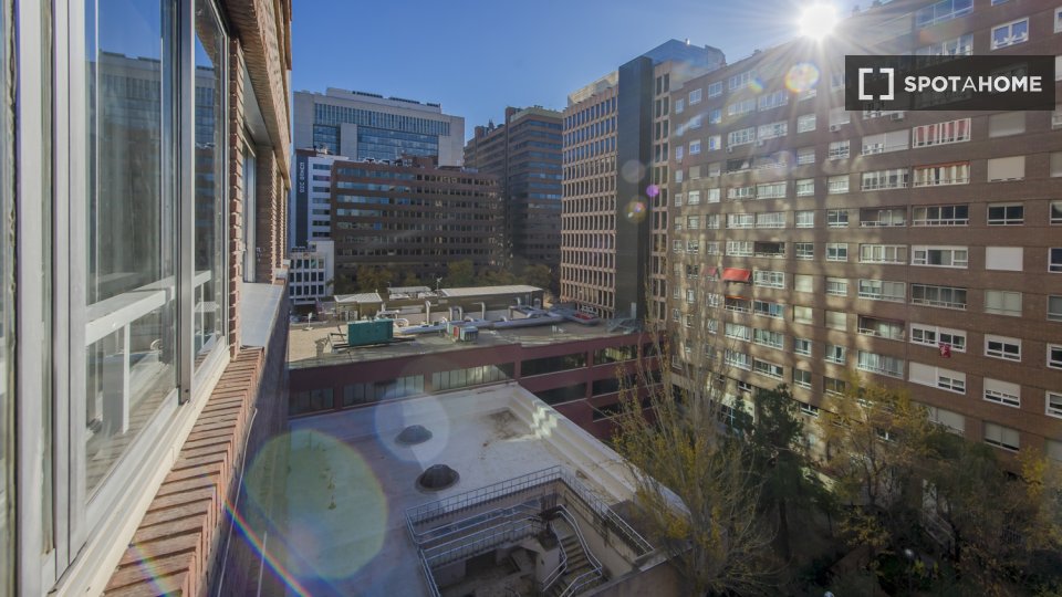 Double room Madrid, 9 beds, 220m² — photo 16
