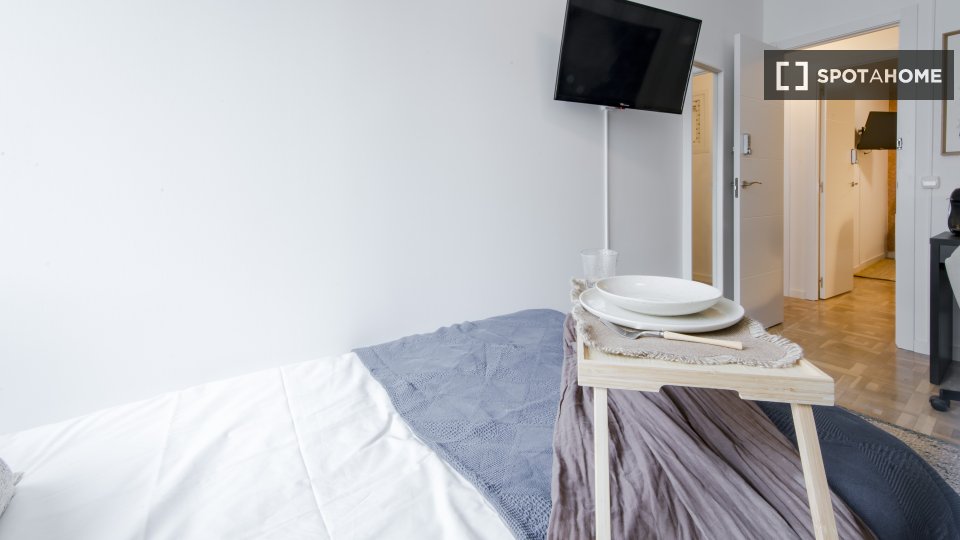 Double room Madrid, 11 beds, 250m² — photo 10