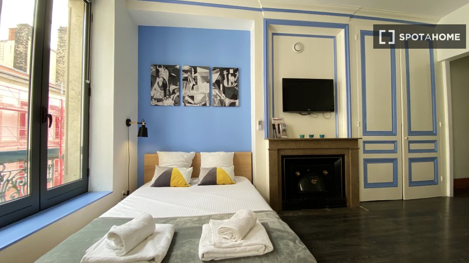 Apartment mono Lyon — photo 7