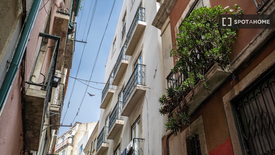 Apartment mono Lisbon, 52m² — photo 16