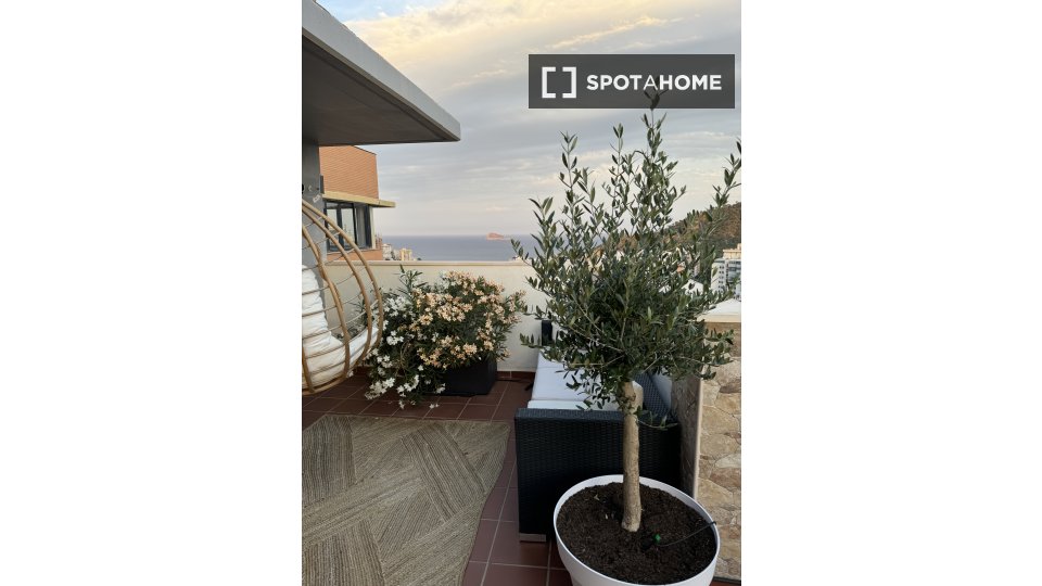 Apartment Alicante, 3 beds, 240m² — photo 7