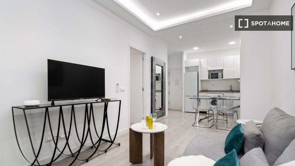 Apartment mono Madrid, 55m² — photo 18