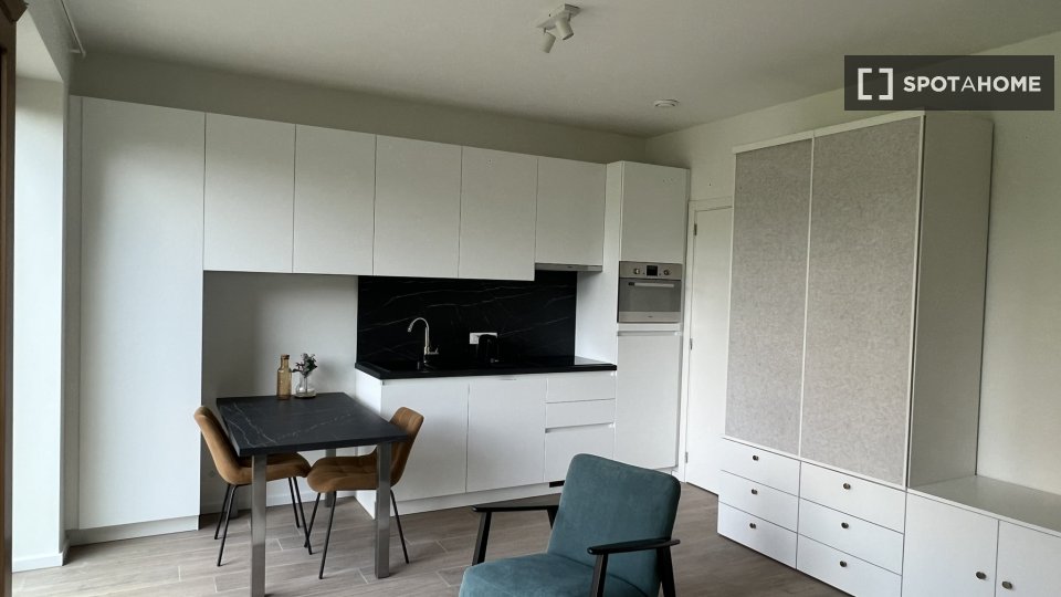 Apartment mono Brussels, 45m² — photo 9