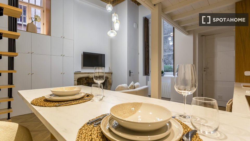 Apartment mono Lyon, 47m² — photo 13