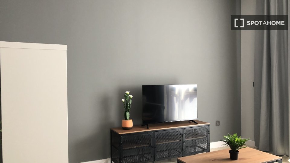 Apartment mono Madrid, 46m² — photo 8