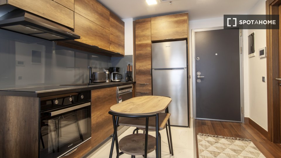 Apartment Istanbul, 1 bed — photo 6