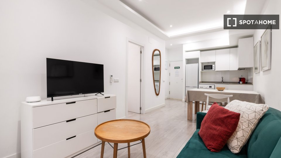 Apartment mono Madrid — photo 15
