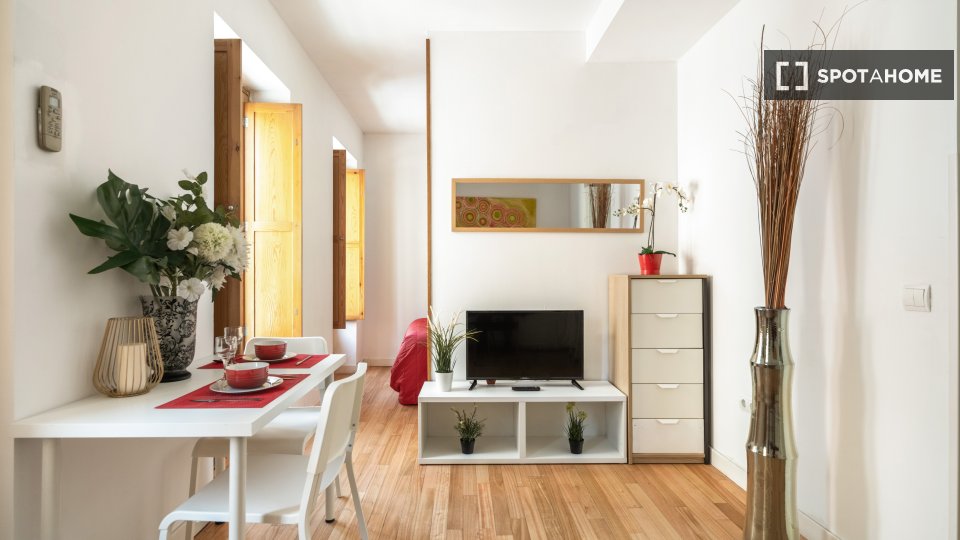 Apartment Madrid, 1 bed — photo 16