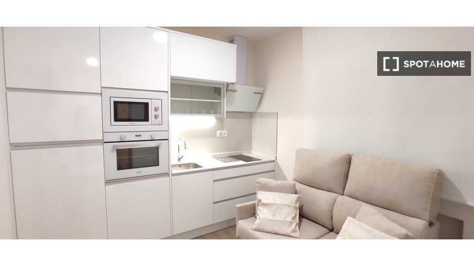 Apartment mono Madrid, 15m² — photo 17