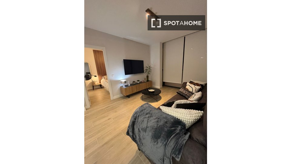 Apartment Madrid, 1 bed, 55m² — photo 19