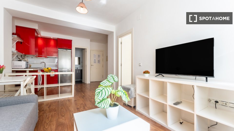 Apartment mono Malaga, 45m² — photo 12