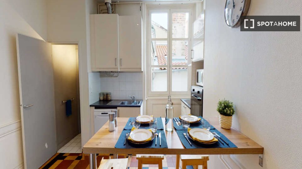 Double room Lyon, 4 beds, 110m² — photo 13
