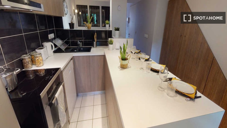 Double room Toulouse, 5 beds, 90m² — photo 11