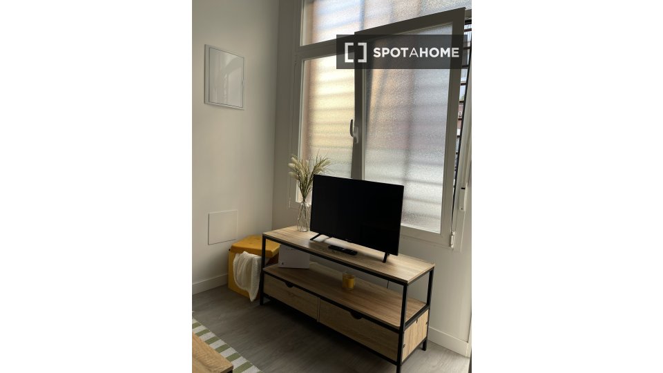 Apartment mono Madrid, 26m² — photo 9