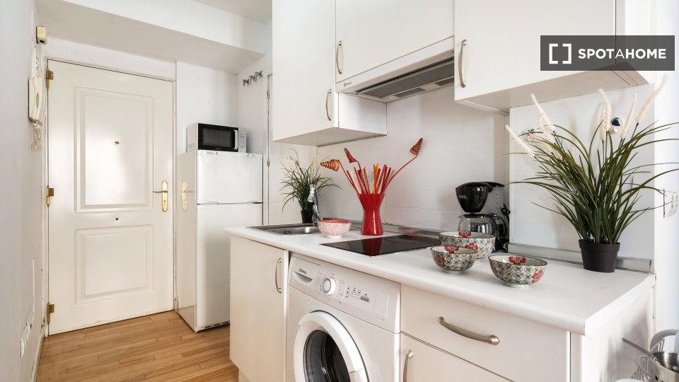 Apartment Madrid, 1 bed — photo 10
