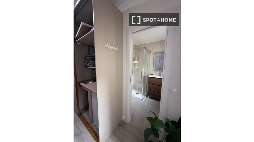 Apartment mono Madrid, 17m² — photo 4