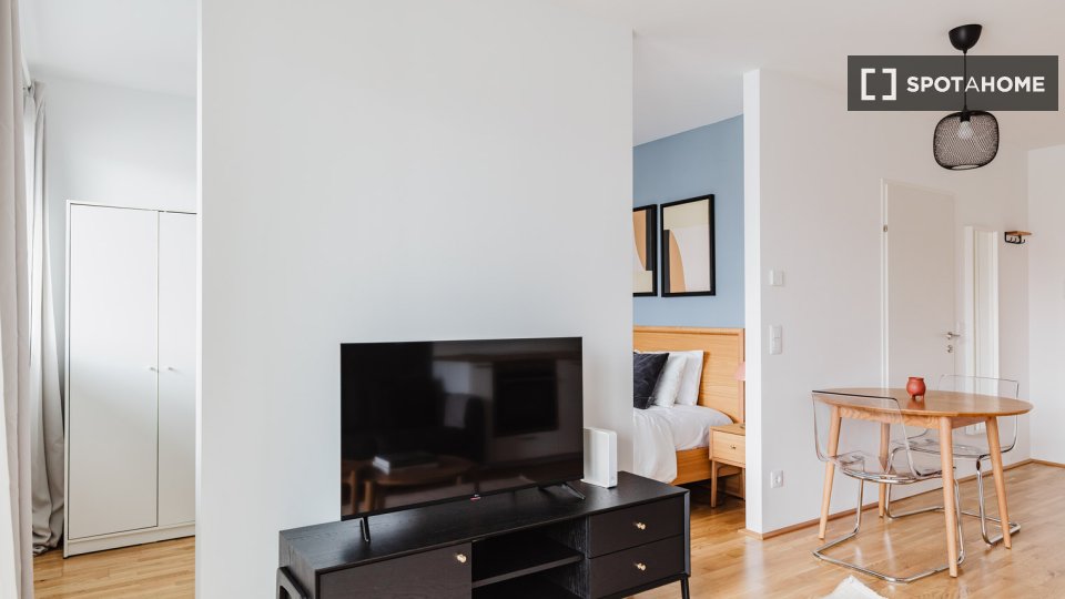 Apartment Vienna, 1 bed, 41m² — photo 8