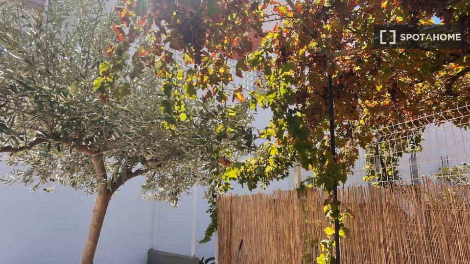 Appartamento Valencia, 1 camera, 50m² — foto 9