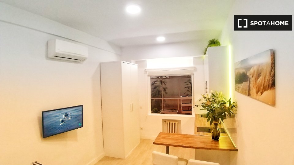 Apartment mono Madrid, 26m² — photo 3