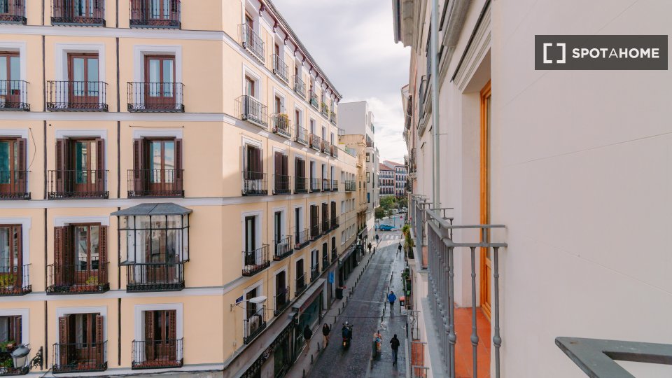 Apartment Madrid, 1 bed — photo 16