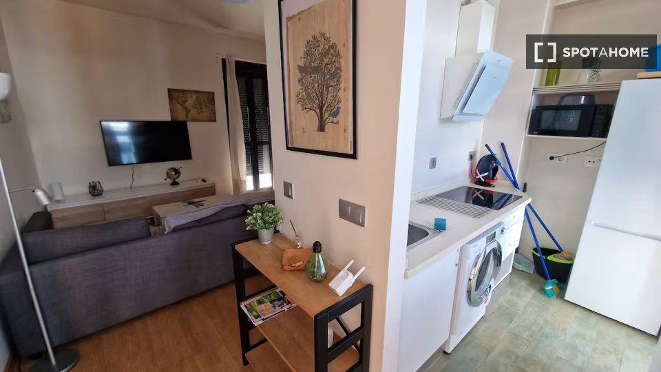 Apartment Seville, 2 beds — photo 15