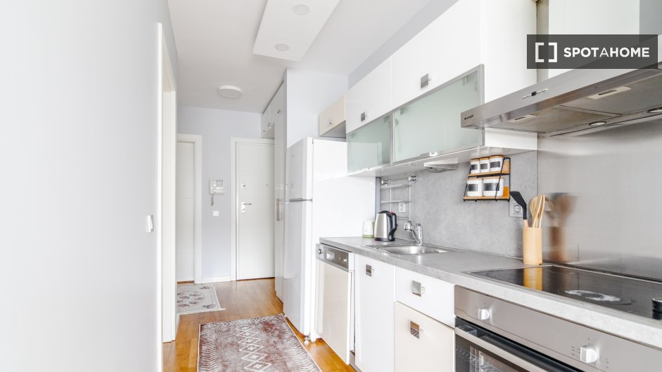 Apartment Istanbul, 1 bed — photo 16
