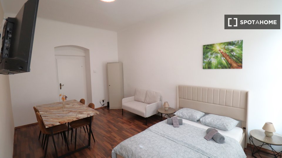 Apartment mono Vienna — photo 13