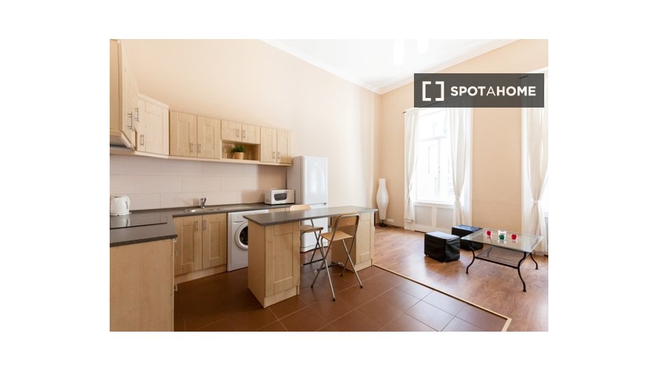 Double room Budapest, 2 beds, 80m² — photo 8