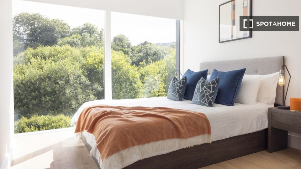 Double room Dublin, 1 bed, 60m² — photo 1