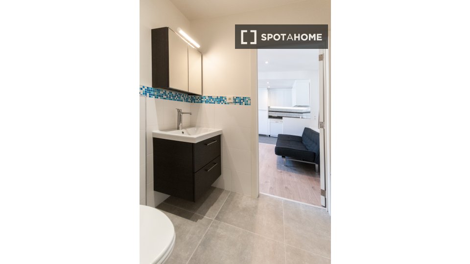 Apartment Brussels, 1 bed, 44m² — photo 5