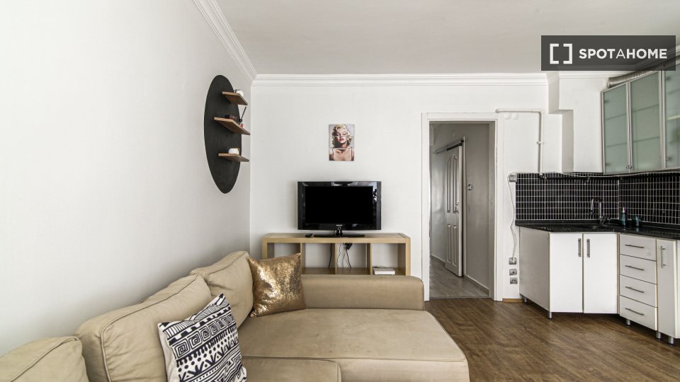 Apartment Istanbul, 1 bed — photo 10