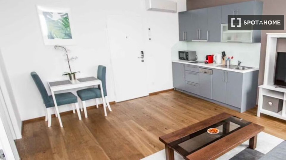 Apartment Vienna, 1 bed, 40m² — photo 4
