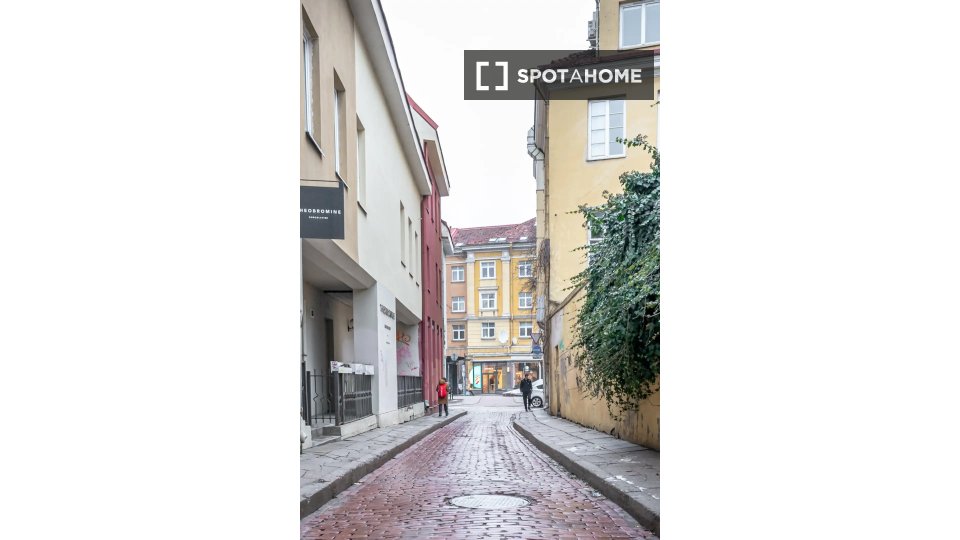 Apartment Vilnius, 1 bed — photo 16