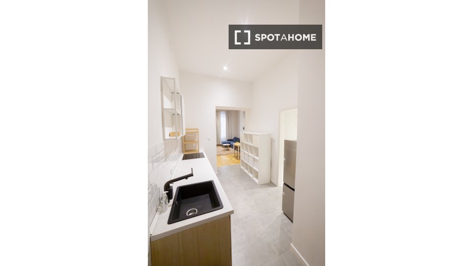 Apartment mono Budapest, 51m² — photo 6