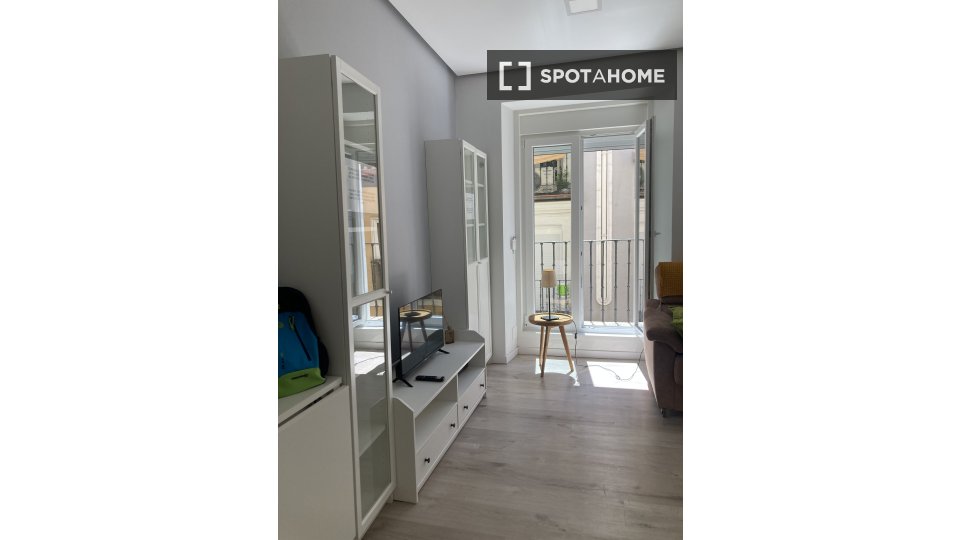 Apartment mono Madrid, 40m² — photo 4