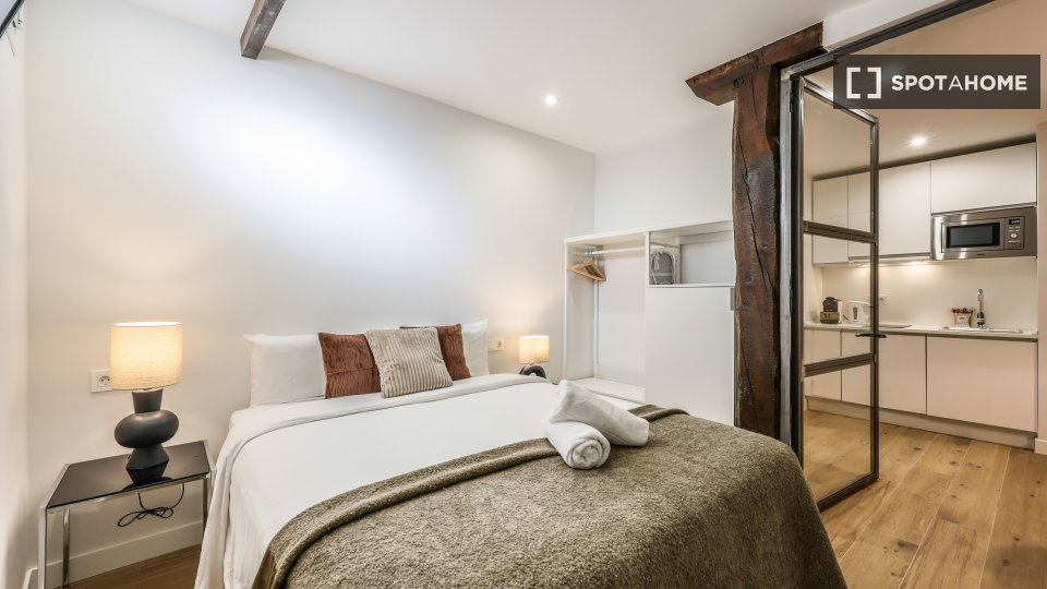 Apartment mono Madrid, 22m² — photo 11