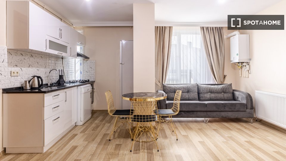 Apartment Istanbul, 1 bed — photo 4