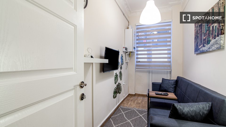 Apartment Istanbul, 1 bed — photo 5