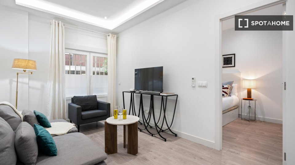 Apartment mono Madrid, 55m² — photo 4