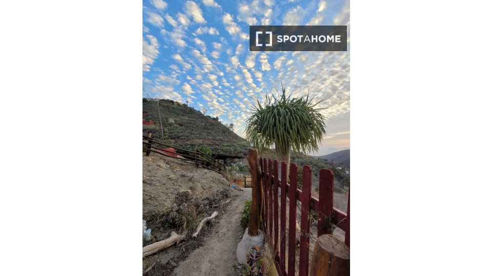 Apartment mono Santa_Cruz_De_Tenerife, 100m² — photo 9